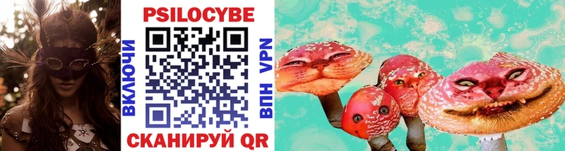 Псилоцибиновые грибы Cubensis  Кущёвская 